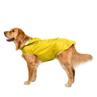 Golden retriever portant une veste imperméable chien jaune pour protéger de la pluie