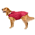 Chien golden retriever portant une veste imperméable chien rouge signée Oscar et Plume