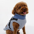 Load image into Gallery viewer, Veste imperméable d'hiver pour chien - Oscar et Plume
