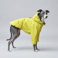 Charger l'image dans la visionneuse de la galerie, Veste imperméable lévrier jaune pour protéger votre chien des intempéries
