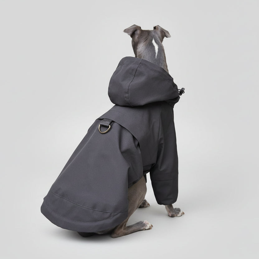 Veste imperméable lévrier en gris avec capuche pour protéger votre chien des intempéries