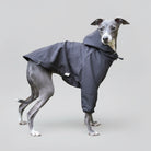 Veste imperméable lévrier noire avec capuche pour protéger votre chien des intempéries.