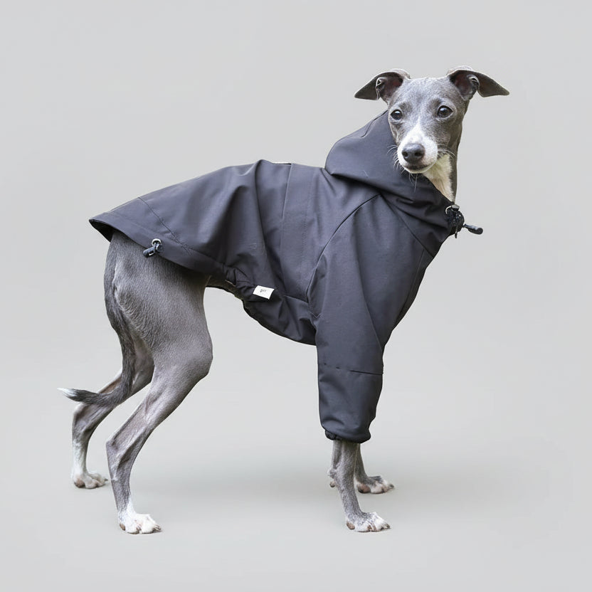 Veste imperméable lévrier noire avec capuche pour protéger votre chien des intempéries.
