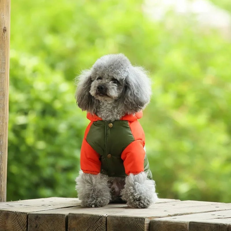 Veste imperméable pour chien Oscar et Plume Marron / XS