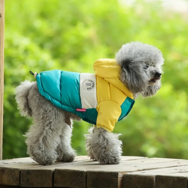 Veste imperméable pour chien Oscar et Plume Marron / XS