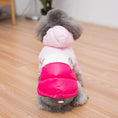 Load image into Gallery viewer, Veste imperméable pour chien Oscar et Plume Marron / XS
