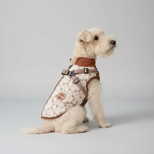 Veste imperméable pour chien avec motif pattes et doublure en cuir pour le confort de votre animal