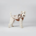 Carica l'immagine nel visualizzatore della galleria, Veste imperméable pour chien Oscar et Plume, confortable et stylée pour promenades sous la pluie
