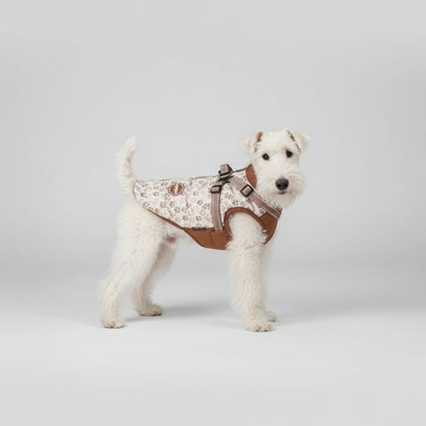 Veste imperméable pour chien Oscar et Plume, confortable et stylée pour promenades sous la pluie