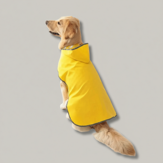 Chien portant une veste imperméable pour chien jaune avec capuche pour les jours de pluie