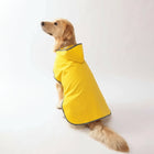 Veste imperméable pour chien jaune avec capuche pour garder votre animal au sec