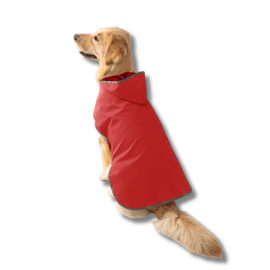 Veste imperméable pour chien Oscar et Plume en rouge avec capuche et doublure confortable