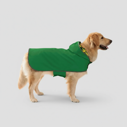 Veste imperméable pour chien verte avec capuche pour garder votre animal au sec