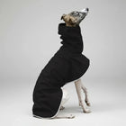Veste imperméable pour lévrier noire avec col haut couvrant, confortable et protectrice contre la pluie
