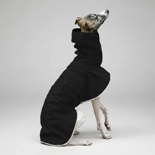 Veste imperméable pour lévrier noire avec col haut couvrant, confortable et protectrice contre la pluie