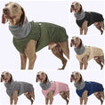 Charger l'image dans la visionneuse de la galerie, Veste imperméable pour petits, moyens et grands chiens Oscar et Plume
