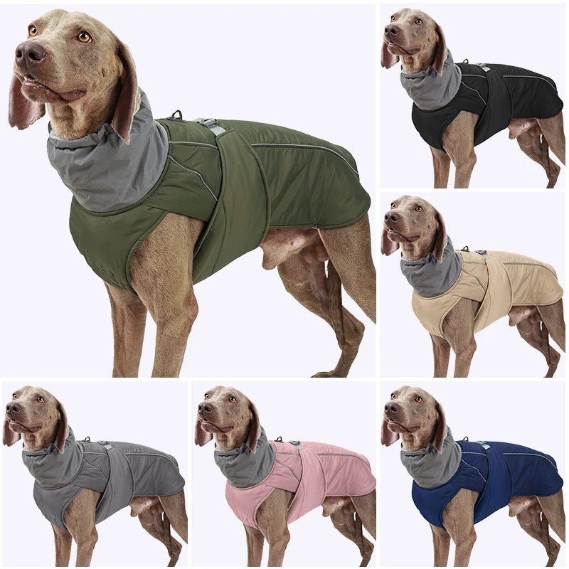 Veste imperméable pour petits, moyens et grands chiens Oscar et Plume