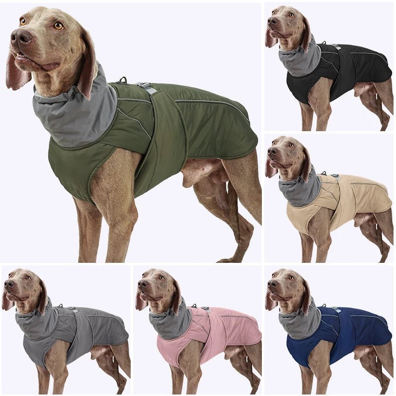 Veste imperméable pour petits, moyens et grands chiens Oscar et Plume Beige / S