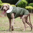 Load image into Gallery viewer, Veste imperméable pour petits, moyens et grands chiens Oscar et Plume Beige / S
