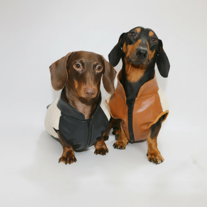 Veste polaire pour teckel en noir et marron, adaptée pour le confort des petits chiens