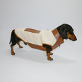 Cargar la imagen en la vista de la galería, Veste polaire pour teckel en beige et marron avec fermeture éclair et poche arrière
