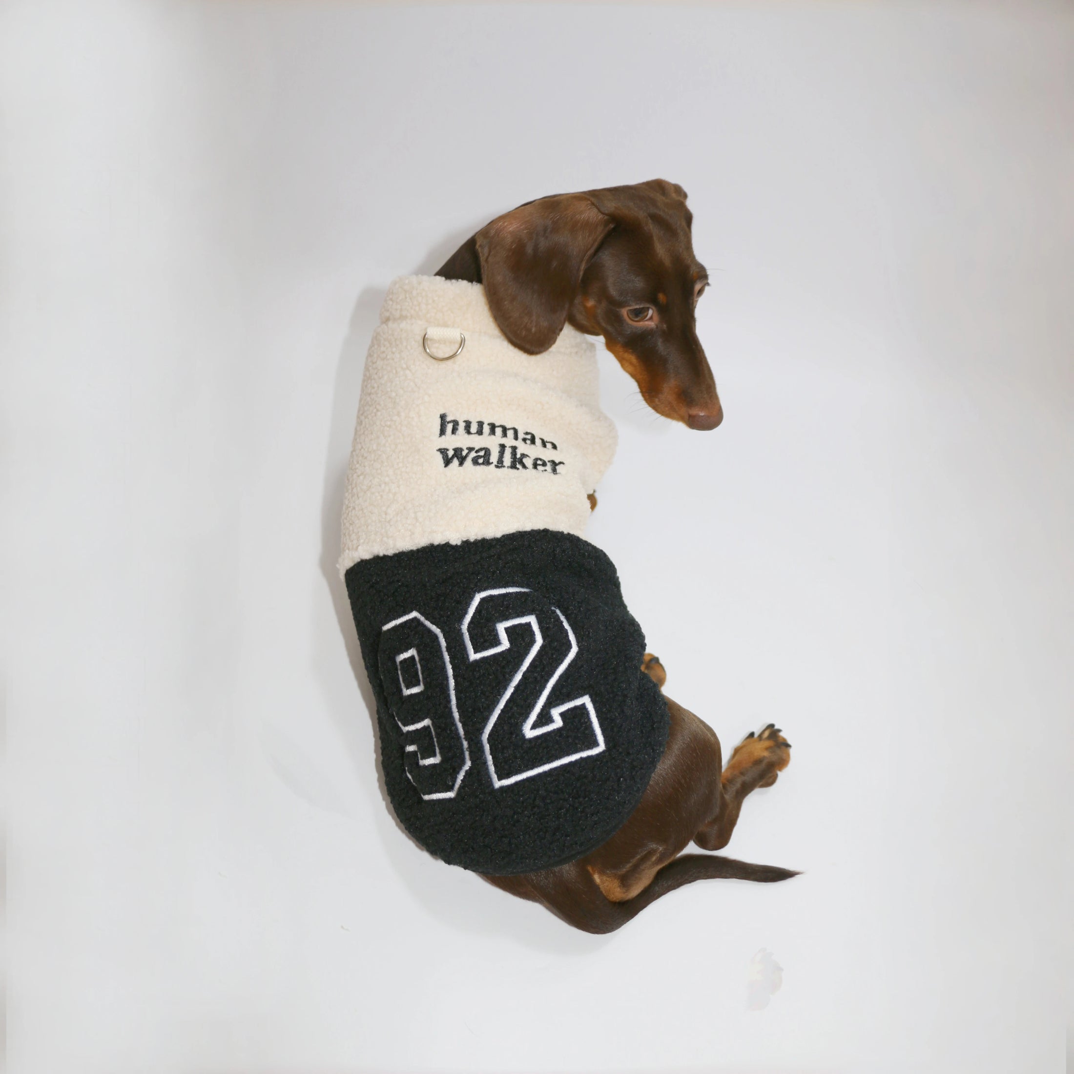 Veste polaire pour teckel avec un design tendance en noir et crème pour garder votre chien au chaud