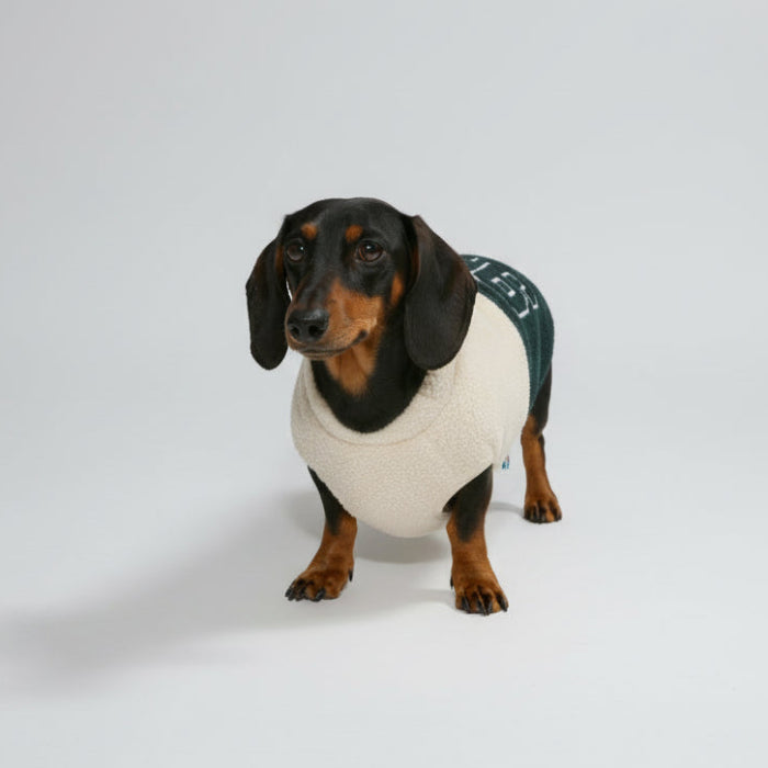 Veste polaire pour teckel de la marque Oscar et Plume, confort et style pour votre chien