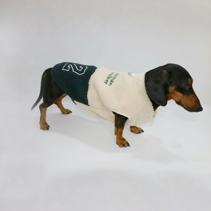 Veste polaire pour teckel en crème et noir, confortable et stylée pour chiens de petite taille