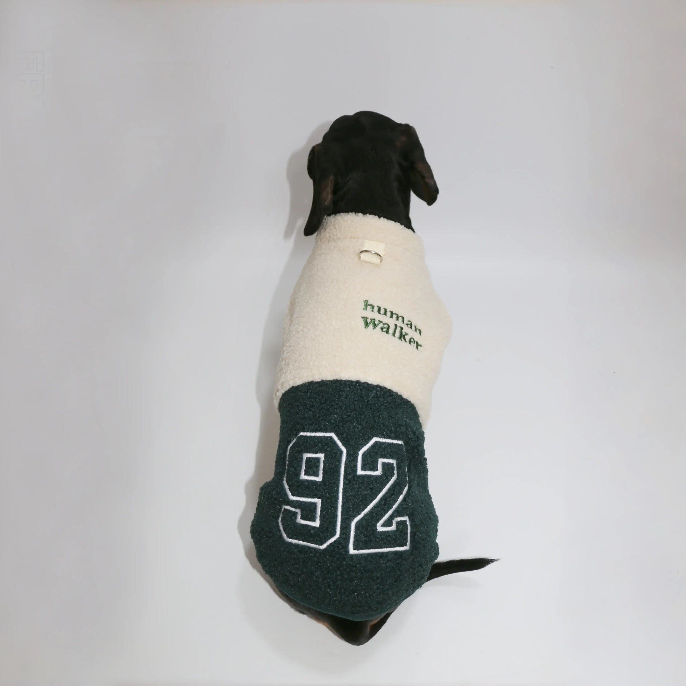 Veste polaire pour teckel en deux couleurs avec le numéro 92 sur le dos