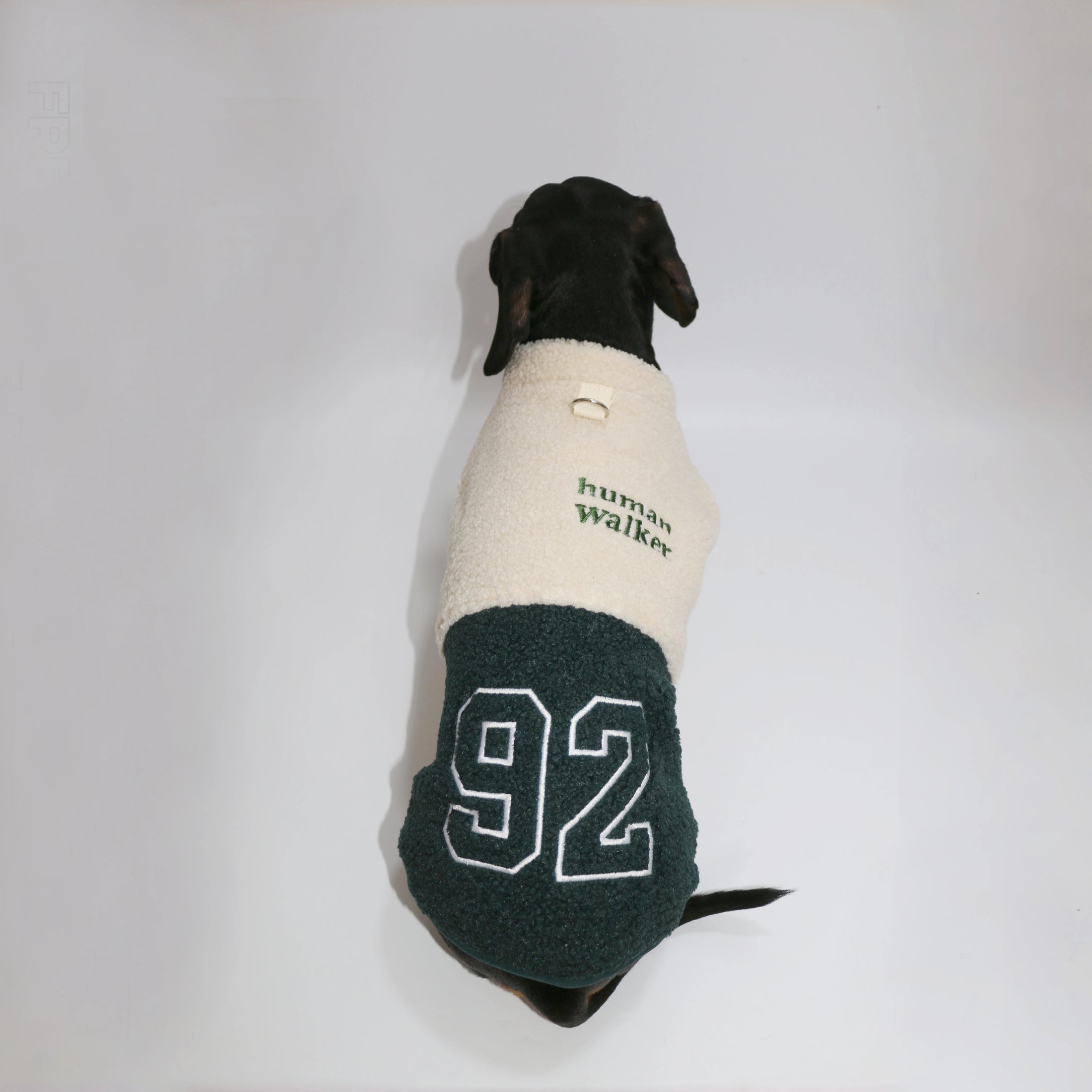 Veste polaire pour teckel en deux couleurs avec le numéro 92 sur le dos