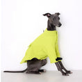 Load image into Gallery viewer, Veste pour Lévrier et Whippet Oscar et Plume Vert / S
