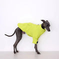 Load image into Gallery viewer, Veste pour Lévrier et Whippet Oscar et Plume Vert / S
