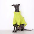 Load image into Gallery viewer, Veste pour Lévrier et Whippet Oscar et Plume Vert / S
