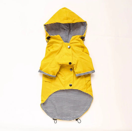Vêtement de pluie pour chien jaune avec capuche rayée intérieur noir et blanc Oscar et Plume