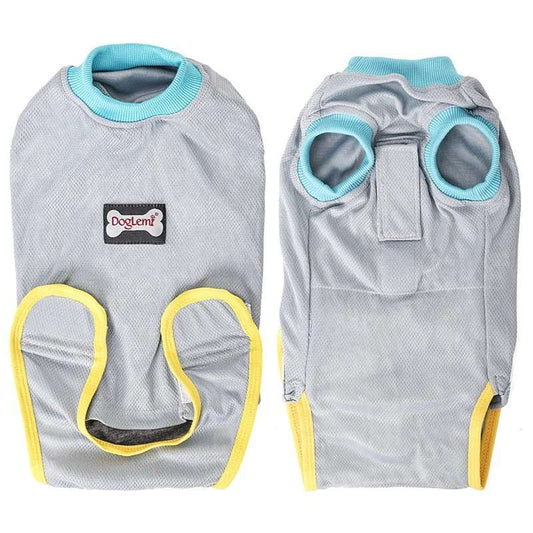 Vêtement post-opératoire chien gris avec bordures bleues et jaunes pour confort et protection après chirurgie