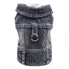 Veste en jean pour chien style denim gris foncé avec anneau métallique pour harnais