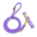 Laisse et collier personnalisable pour chien violet avec finitions dorées par Oscar et Plume