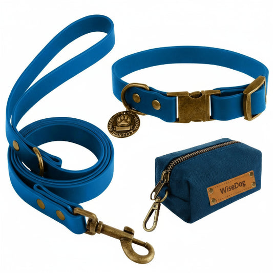 Collier et laisse pour chien bleu avec médaille dorée et pochette WiseDog assortie