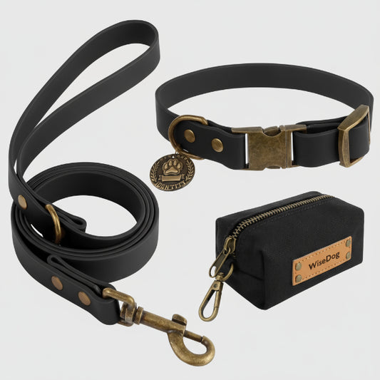 Collier et laisse pour chien en cuir noir avec boucle en métal et pochette accessoire WiseDog